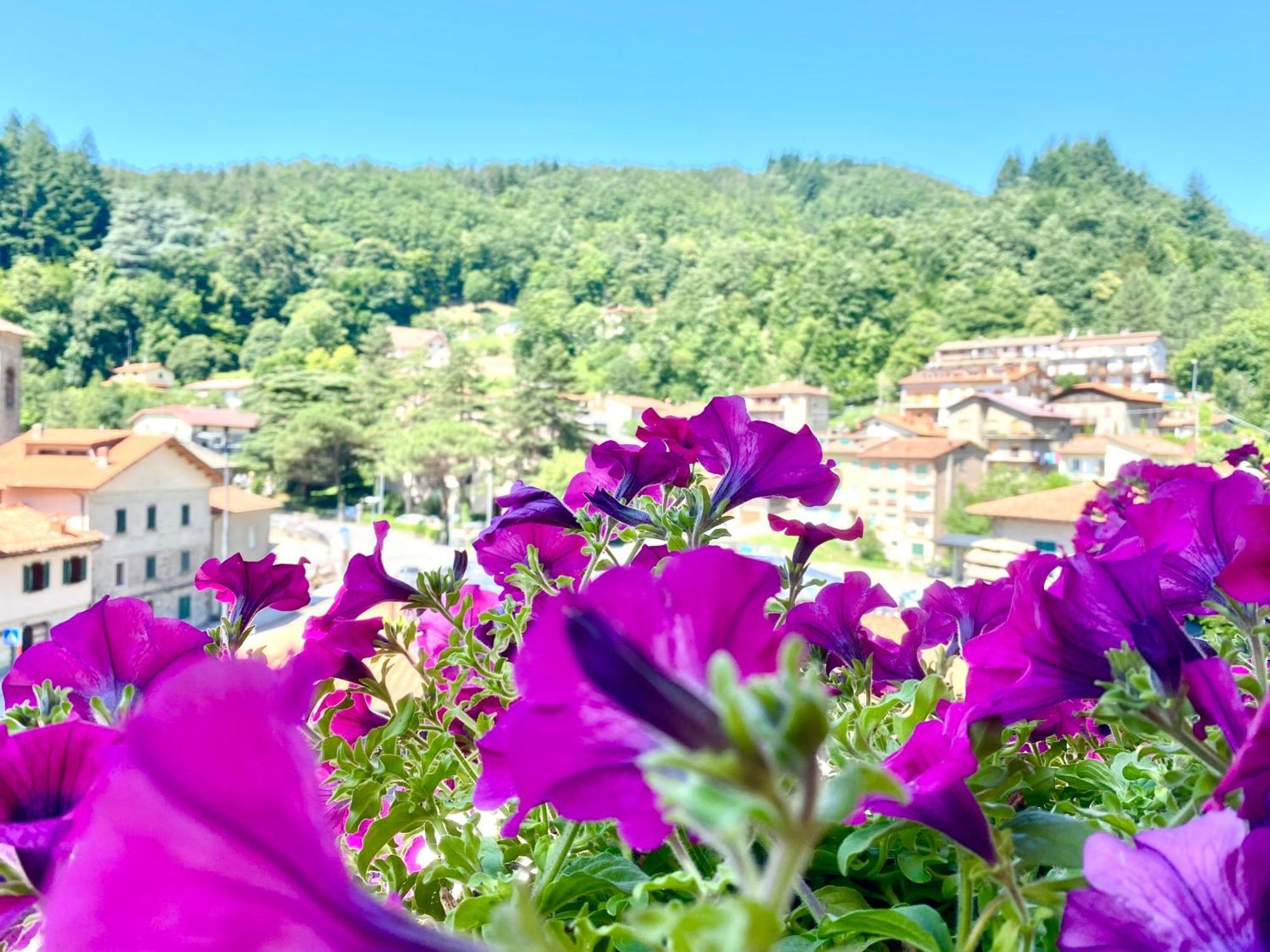 Pthouse Apartamento Badia Prataglia